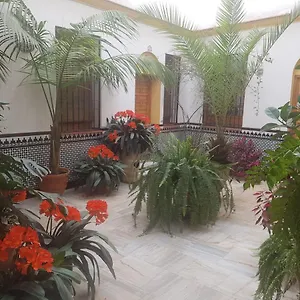 Calle Leiva Appartamento